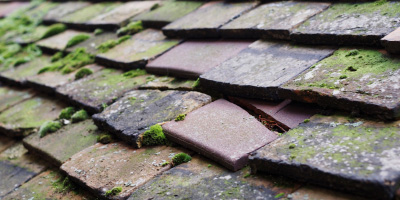 Summerstown roof repair costs